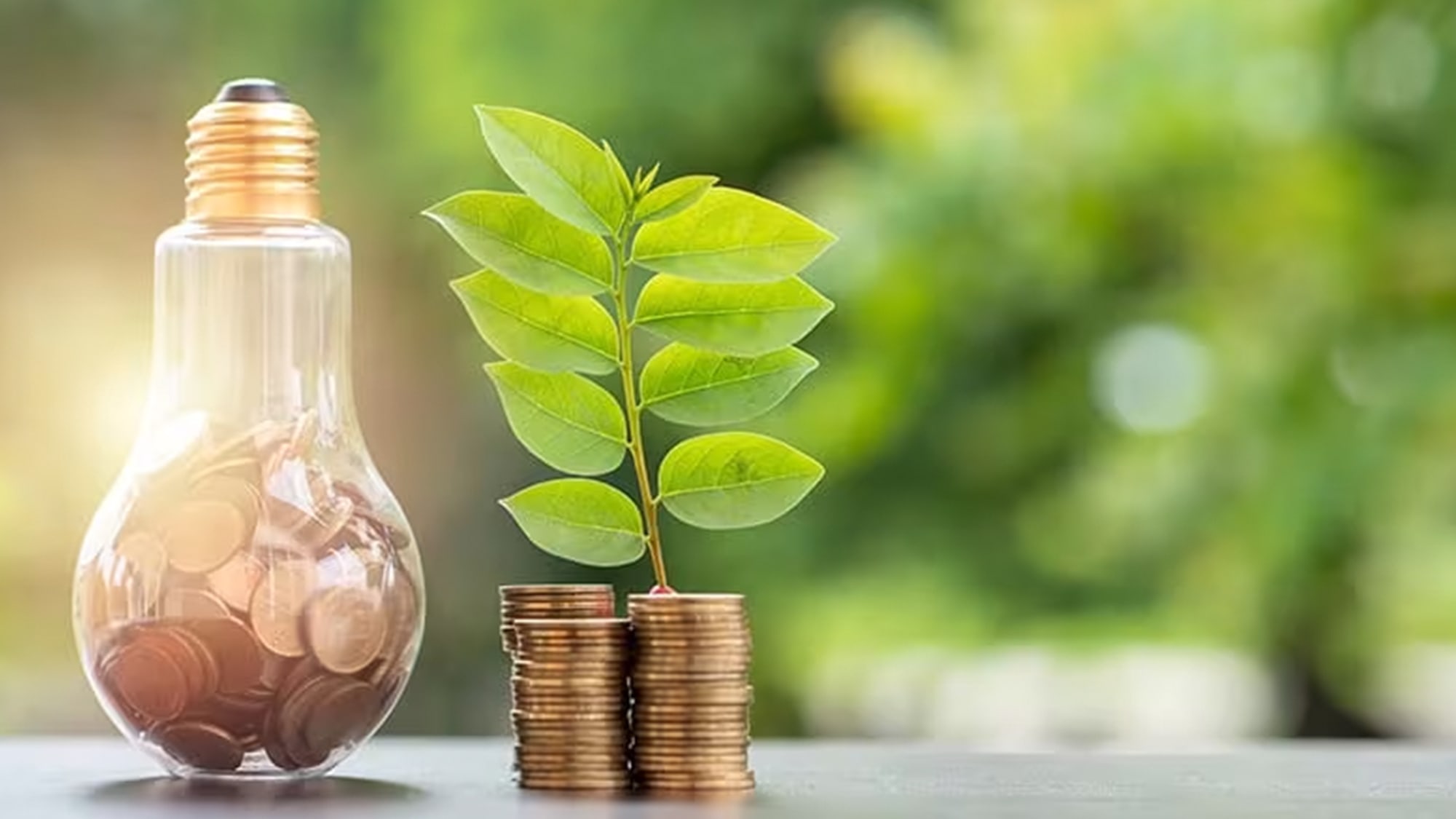 australian-ethical-fixes-gaze-on-adviser-market-money-management